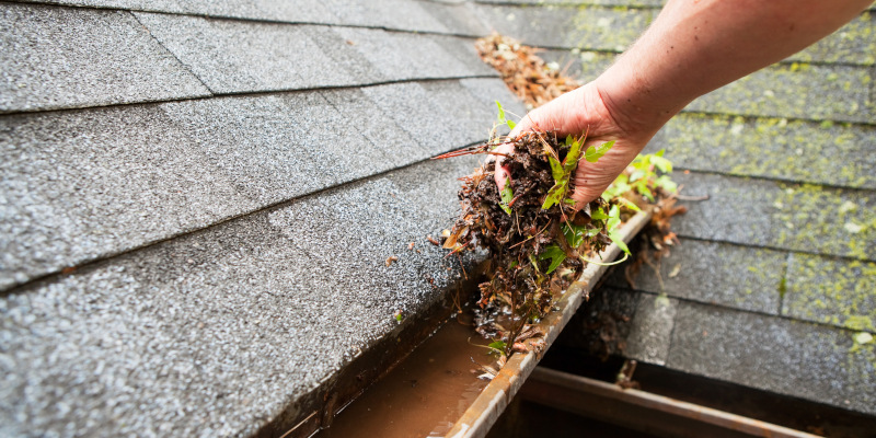 Gutter Cleaning in Worthington, Ohio