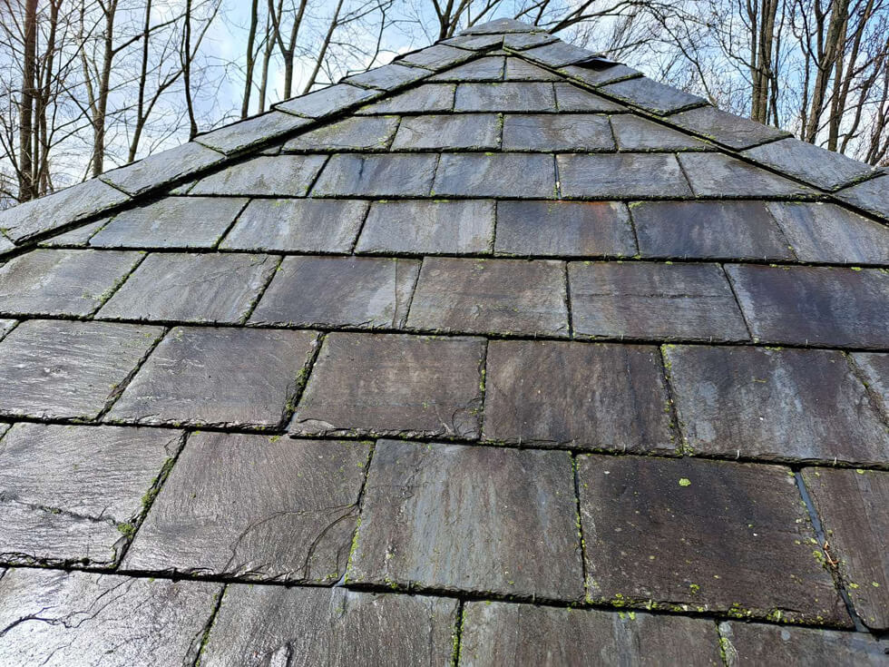 Buckeye Softwash Gallery