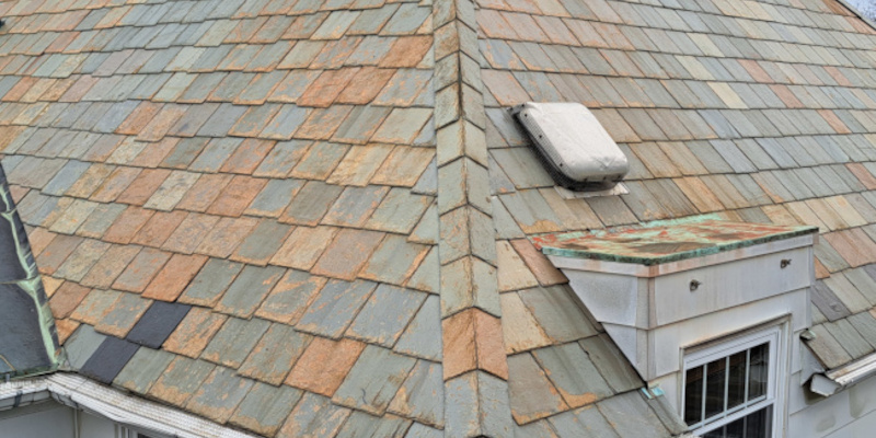Does Your Insurer Mandate Roof Cleaning?