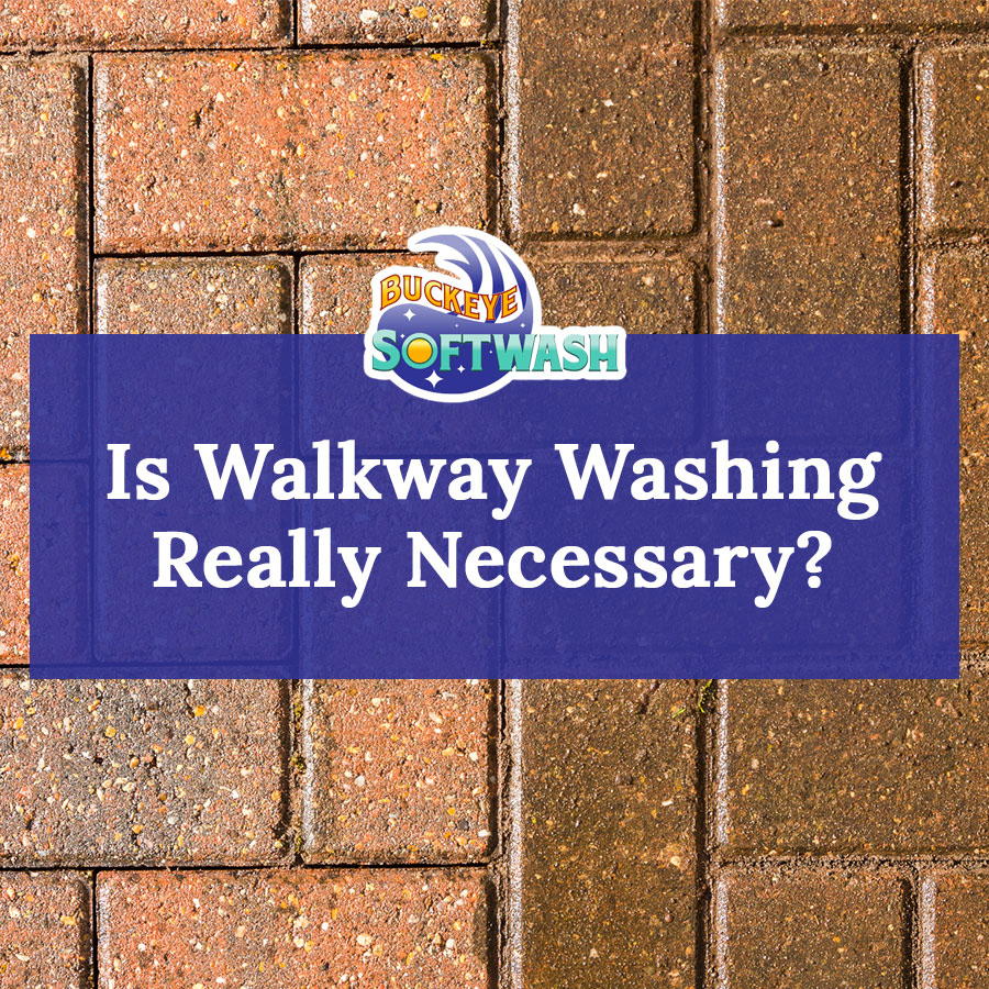 Is Walkway Washing Really Necessary?