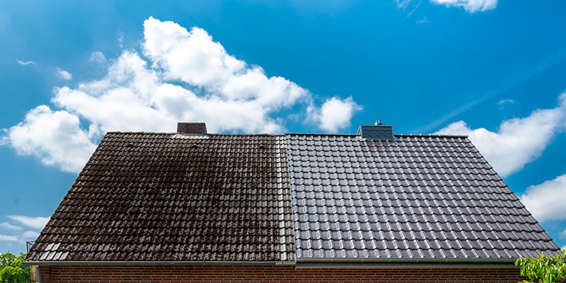 Why Choose Soft Washing for Roof Cleaning?