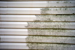Three Benefits of Soft Washing for Siding Cleaning