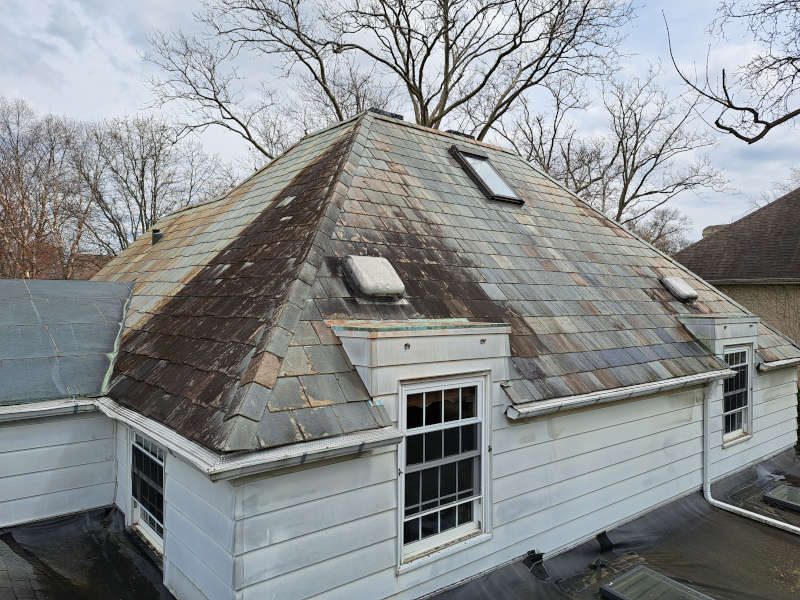 Moss Removal, Reynoldsburg, OH