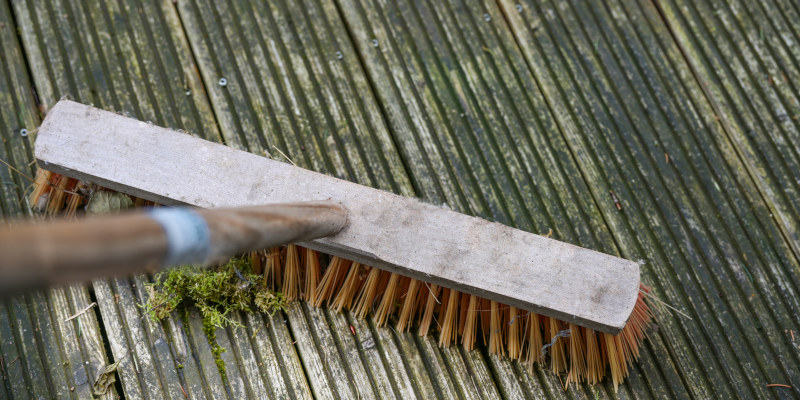 Moss Pressure Washing in Columbus, Ohio