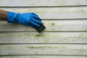 How Sanitization Services Will Help Protect Your Home