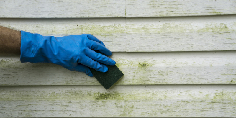 How Sanitization Services Will Help Protect Your Home