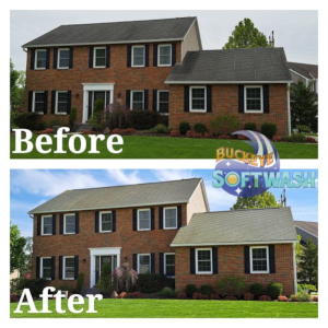 Roof Cleaning Can Extend the Life of Your Roof