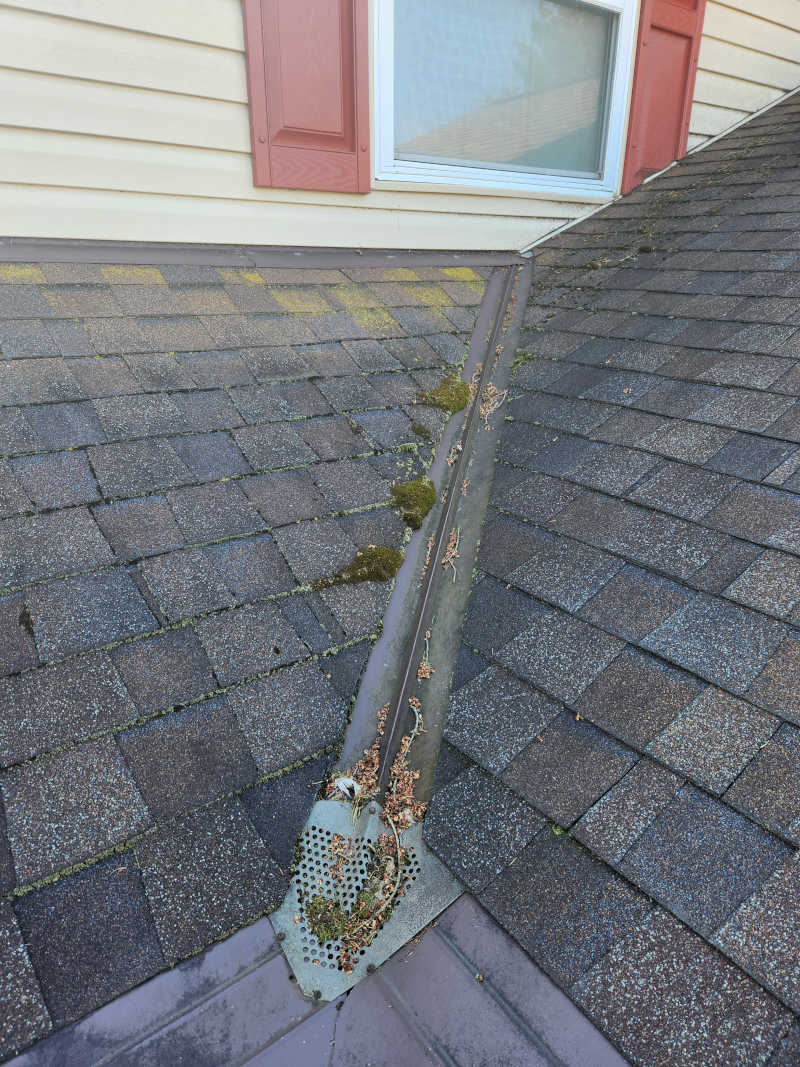 Moss Removal in Columbus, Ohio
