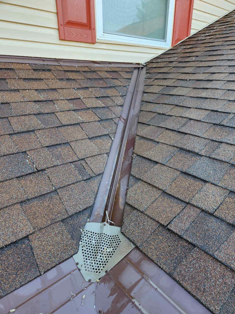 Moss Removal in Columbus, Ohio