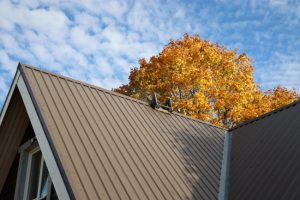 Why Fall Is the Perfect Time to Schedule Roof Cleaning