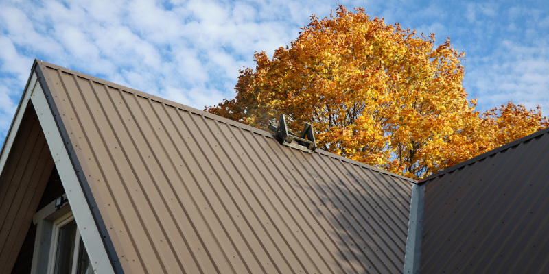 Why Fall Is the Perfect Time to Schedule Roof Cleaning